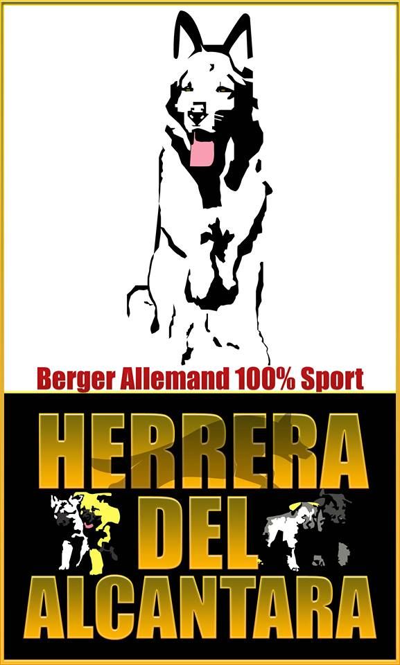 D'Herrera Del Alcantara - 08.03.2024 Actualisation des étalons utilisés dans notre élevage !!!