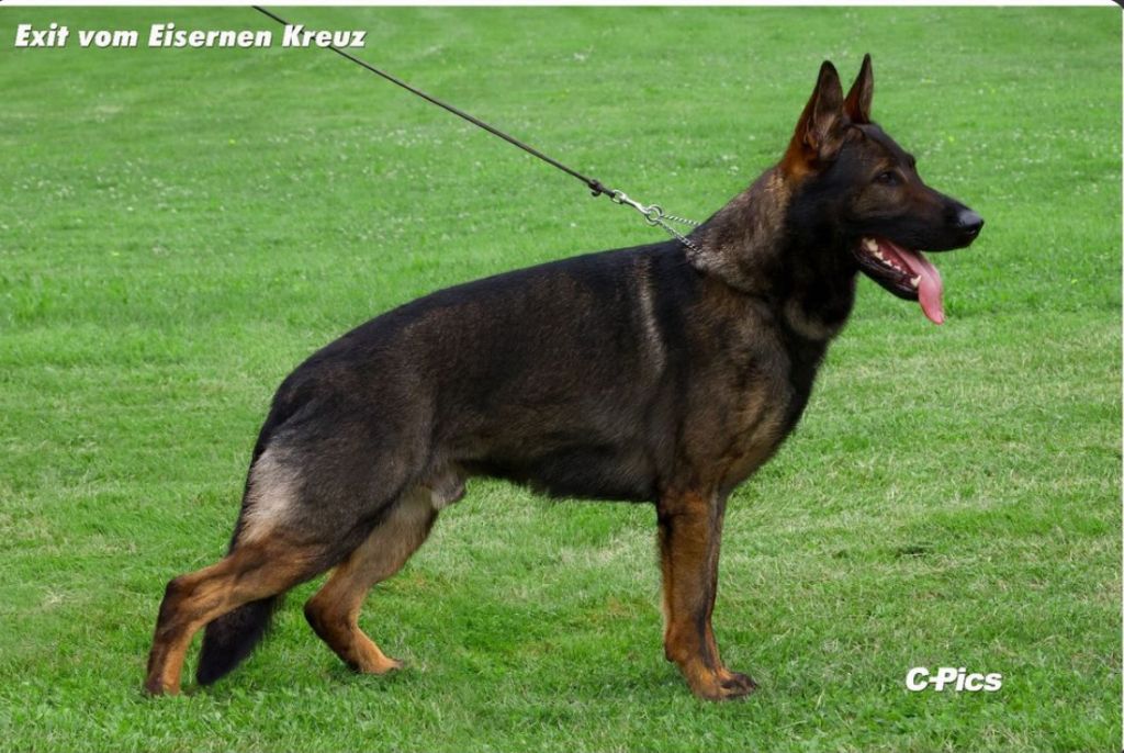 Exit vom Eisernen Kreuz IGP1